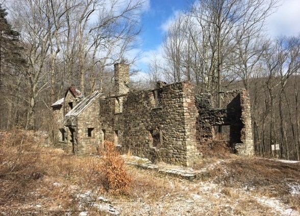 Stacks Image 676